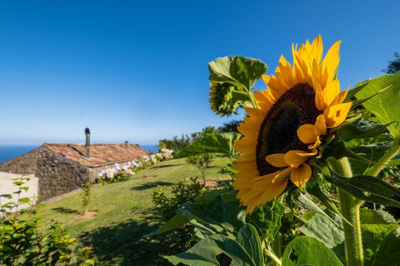 Casa Do Castanheiro - Nordeste, Acores Nordeste  Eksteriør billede