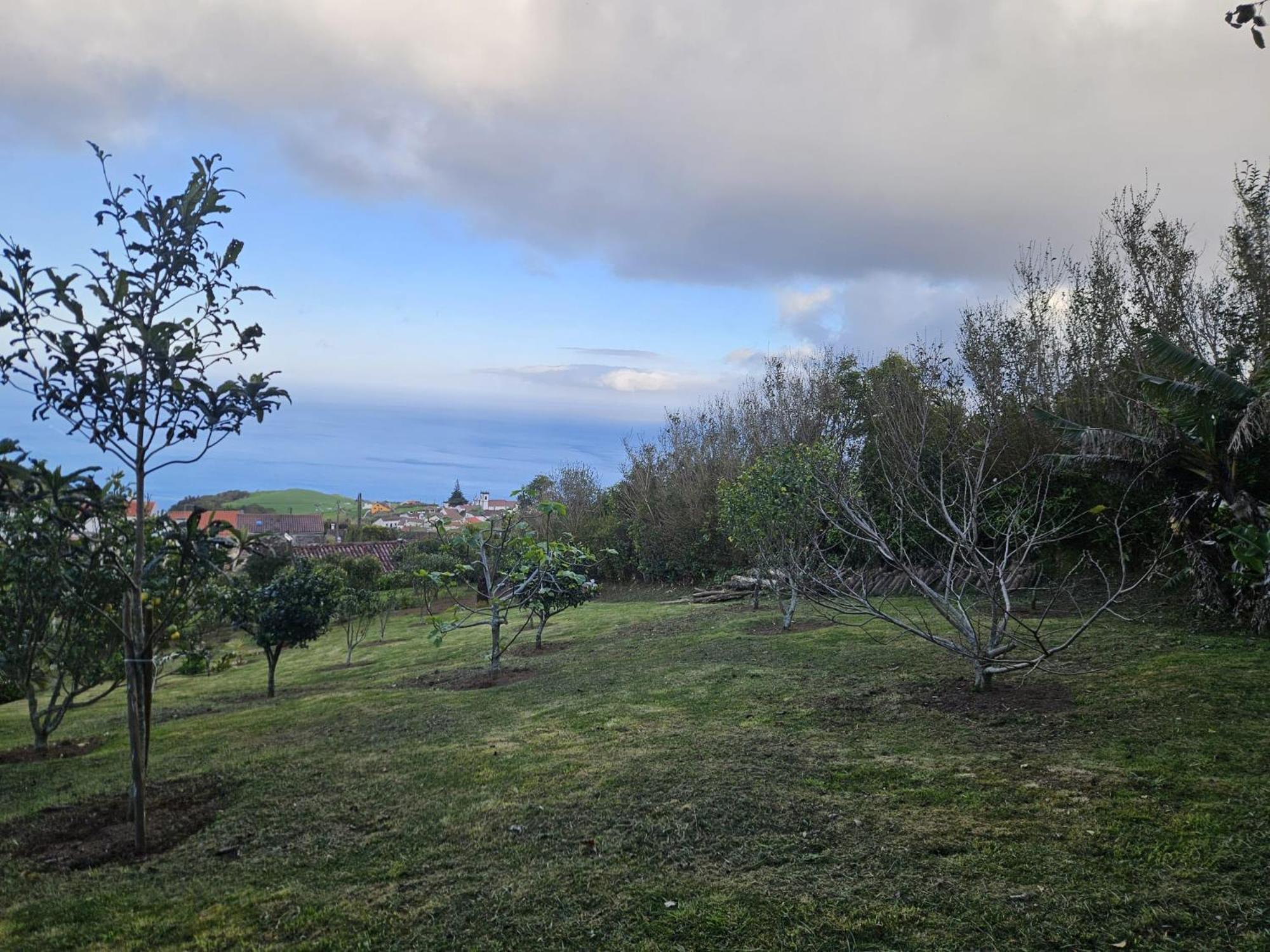 Casa Do Castanheiro - Nordeste, Acores Nordeste  Eksteriør billede