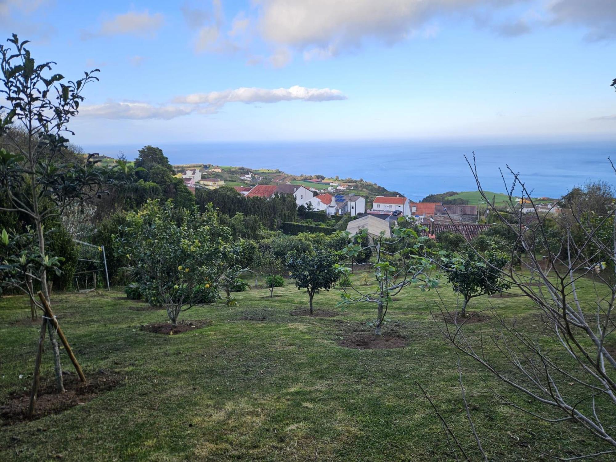 Casa Do Castanheiro - Nordeste, Acores Nordeste  Eksteriør billede