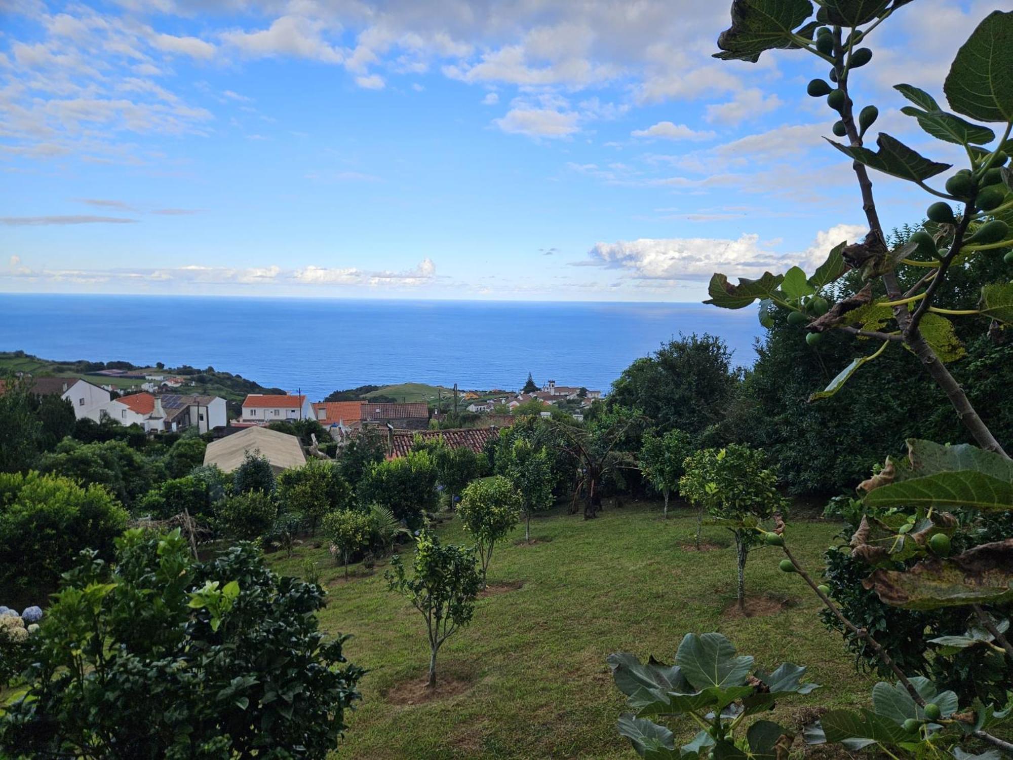 Casa Do Castanheiro - Nordeste, Acores Nordeste  Eksteriør billede